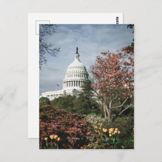 Briefkaart Washington DC (Voorkant / Achterkant)