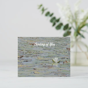 Briefkaart Waterlily Pond Lake Flower I