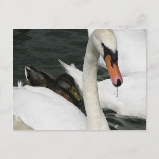 Briefkaart Watermead Country Park