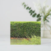 Briefkaart - Web van de Natuur (Staand voorkant)