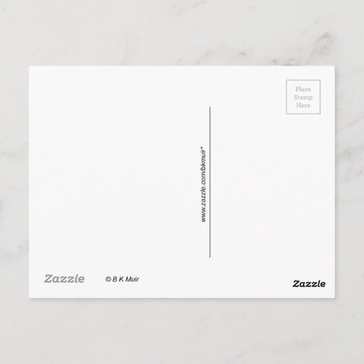 Briefkaart - Web van de Natuur (Achterkant)