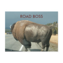 BRIEFKAART WEGBOSS
