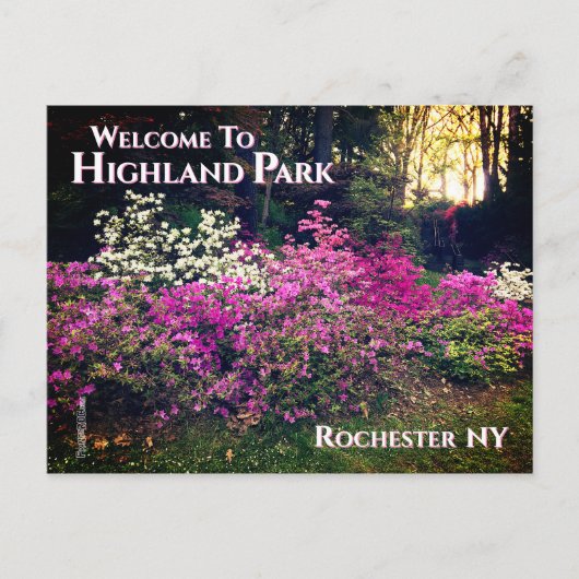 Briefkaart - Welkom bij Highland Park Rochester NY (Voorkant)