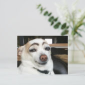 Briefkaart wenkbrauw hond meme (Staand voorkant)
