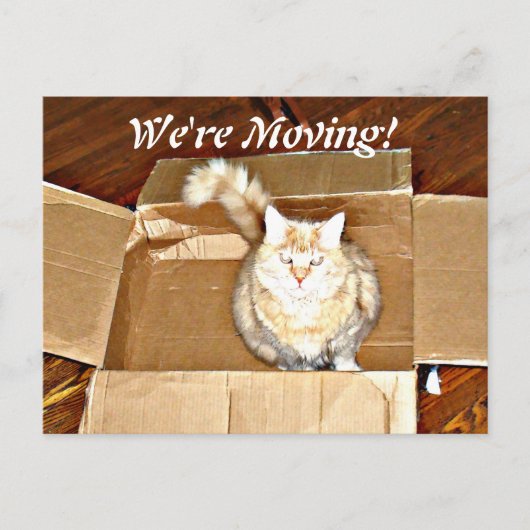 briefkaart 'We're Moving' (Voorkant)