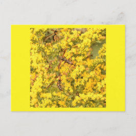 Briefkaart, wespen op goudkleurige, heldere geel briefkaart