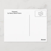 Briefkaart wijngaarden (Achterkant)