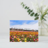 Briefkaart Wildbloemen in Carlsbad (Staand voorkant)