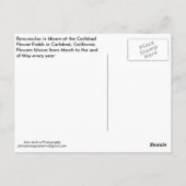 Briefkaart Wildbloemen in Carlsbad (Achterkant)