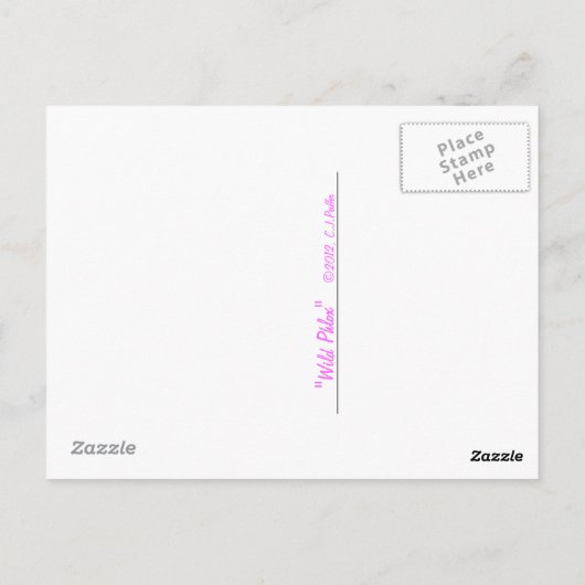 briefkaart "Wilde Phlox" (Achterkant)