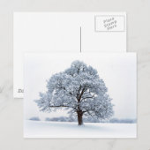 Briefkaart wintersneeuw/kerstboomvakantie (Voorkant / Achterkant)
