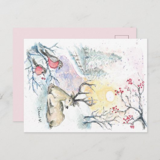 Briefkaart wintersneeuwrendier (Voorkant / Achterkant)