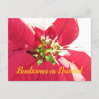 Briefkaart Xmas 003 -Spaans - Briefkaart