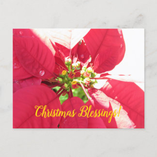 Briefkaart Xmas 004 -Briefkaart