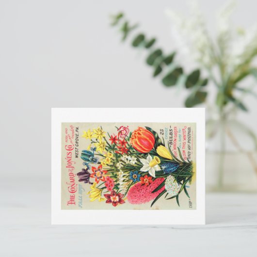 Briefkaart  zaadpakket (Staand voorkant)