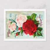 Briefkaart zaadverpakking. (Voorkant)