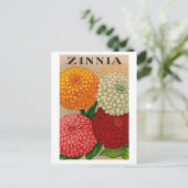  briefkaart zinnia-zaadpakket (Staand voorkant)