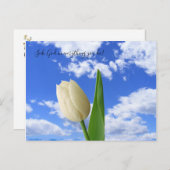 Briefkaart zoekt God White Tulip Blue Sky (Voorkant / Achterkant)