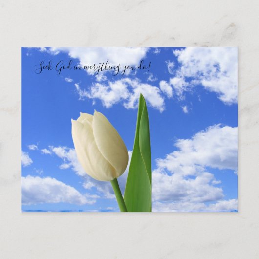 Briefkaart zoekt God White Tulip Blue Sky (Voorkant)