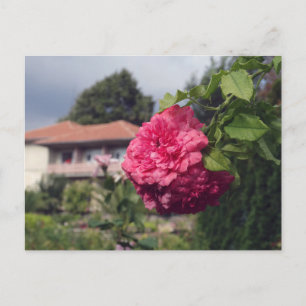 Briefkaart zomer