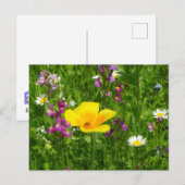 Briefkaart zomerbloemen (Voorkant / Achterkant)