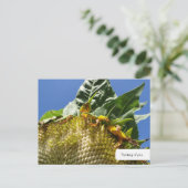  Briefkaart zonnebloem (Staand voorkant)