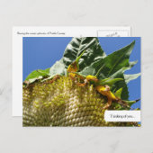  Briefkaart zonnebloem (Voorkant / Achterkant)