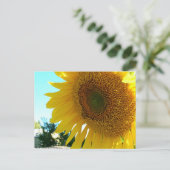 Briefkaart - Zonnebloem en bijen (Staand voorkant)