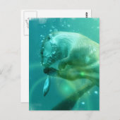 Briefkaart zwemmen (Voorkant / Achterkant)