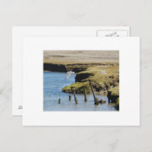 Briefkaarten (Voorkant / Achterkant)