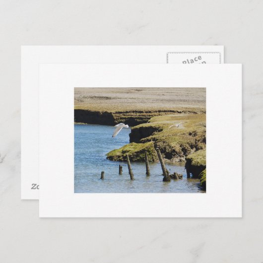 Briefkaarten (Voorkant / Achterkant)