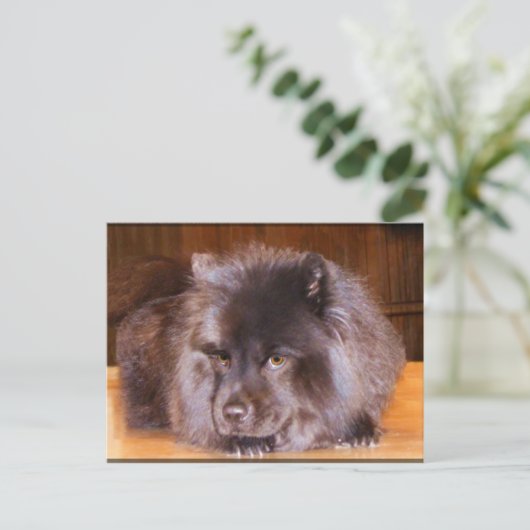 Briefkaarten (Staand voorkant)