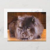 Briefkaarten (Voorkant / Achterkant)