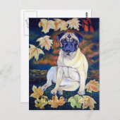 Briefkaarten (Voorkant / Achterkant)