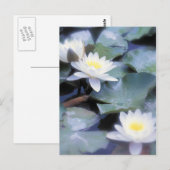 Briefkaarten (Voorkant / Achterkant)