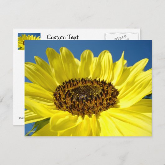 Briefkaarten Blauwe Hemel (Voorkant / Achterkant)