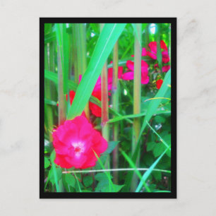 Briefkaarten-City Flowers-13 Briefkaart