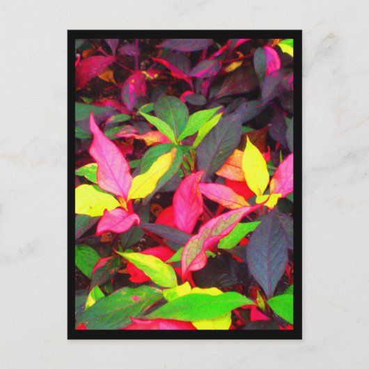 Briefkaarten-City Flowers-14 Briefkaart (Voorkant)