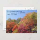 Briefkaarten: De bomen zingen Briefkaart (Voorkant / Achterkant)