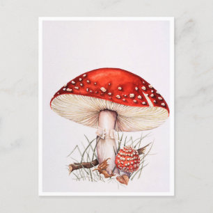 Briefkaarten - Fly Agaric Mushrooms Illustration
