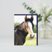 Briefkaarten met blauwe ogen gekleurd (Staand voorkant)