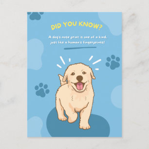 Briefkaarten met een dierenvlies