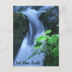 Briefkaarten: Sol Duc-Herfsten Briefkaart
