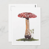 Briefkaarten - Studie naar Agaric Paddenstoel Wate (Voorkant / Achterkant)