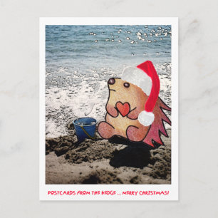 BRIEFKAARTEN UIT DE HEDGE