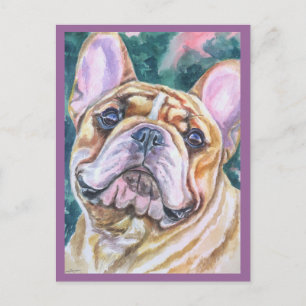 Briefkaarten van Bulldog