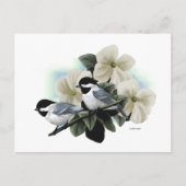 Briefkaarten van de Chickadee (Voorkant)
