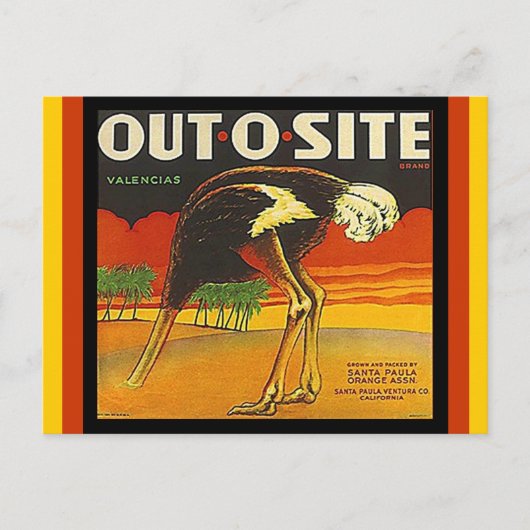 Briefkaarten van de Ostrich-citruscrate, buiten d (Voorkant)