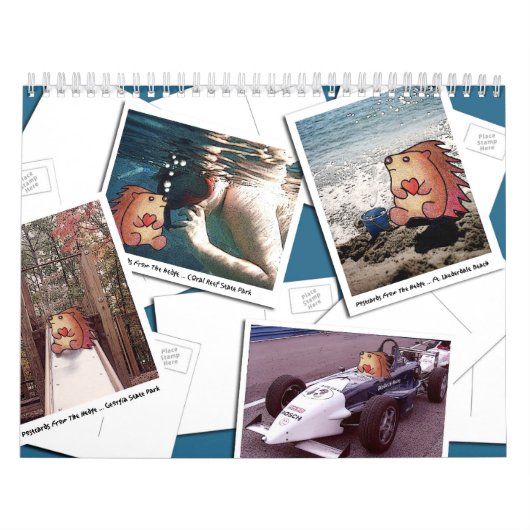 Briefkaarten van de rand!  2010 kalender (Hoes)