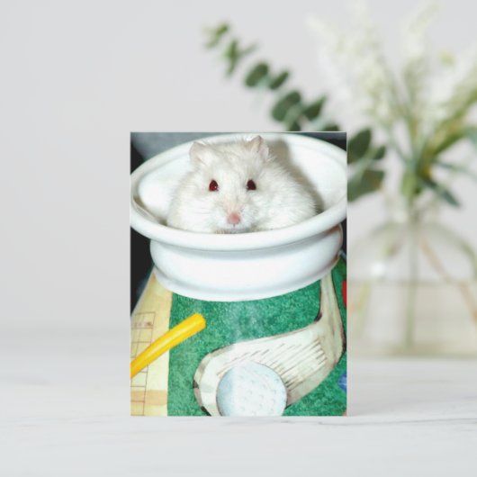 Briefkaarten van de witte schelp (Staand voorkant)